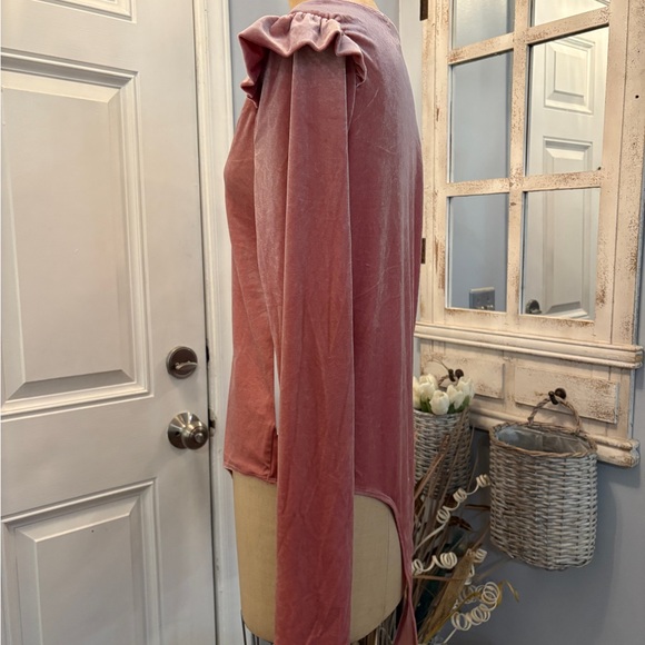 Elegant Celebrity Pink Long Sleeve Velvet Women's Bodysuit‎ XL NWT - Picture 3 of 6